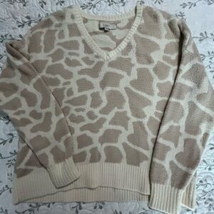 Loft v neck sweater